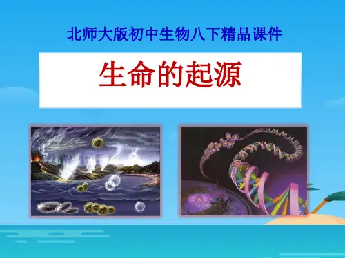 《生命的起源》PPT课件[优秀课件资料]