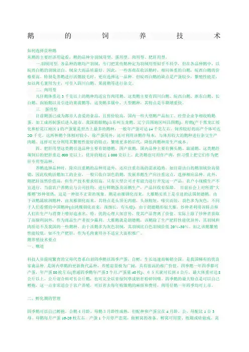 鹅的饲养技术