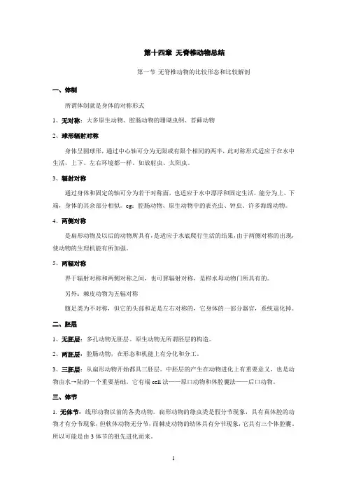 无脊椎动物总结