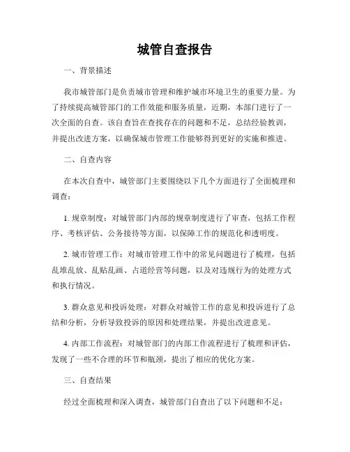 城管自查报告