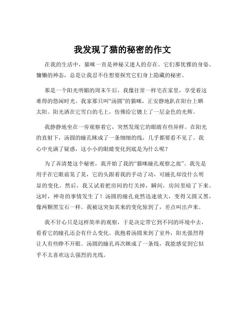 我发现了猫的秘密的作文