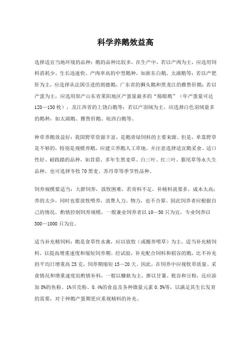 科学养鹅效益高