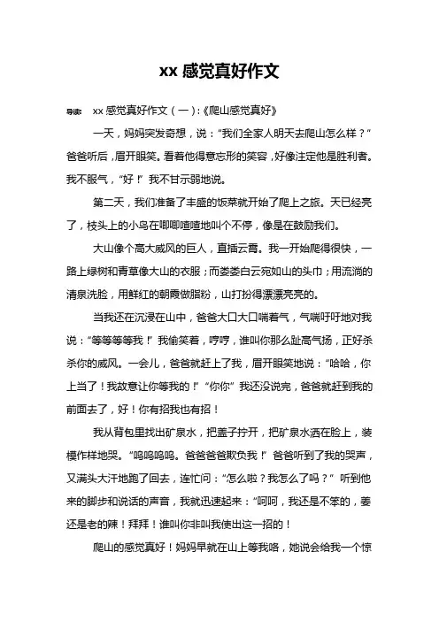 xx感觉真好作文
