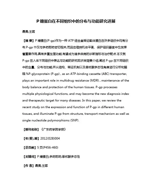 P糖蛋白在不同组织中的分布与功能研究进展
