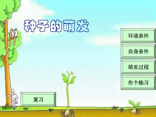 【初中生物】种子的萌发PPT课件17