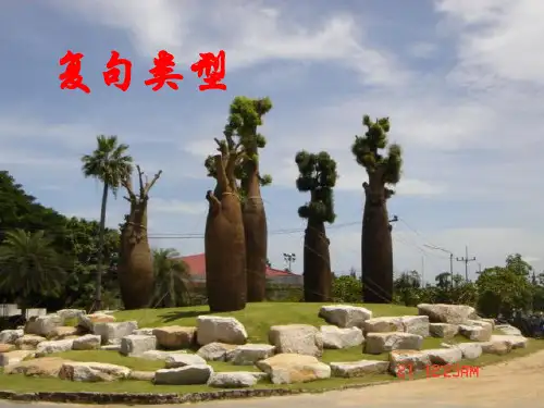 山东省菏泽市郓城县武安镇初级中学初中语文语法知识《复句类型》课件 (共20张PPT)