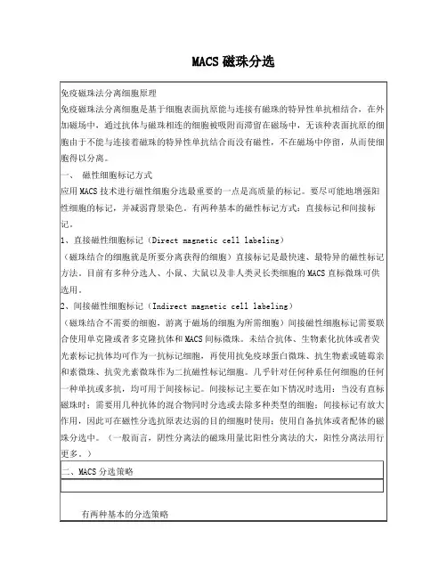 MACS磁珠分选