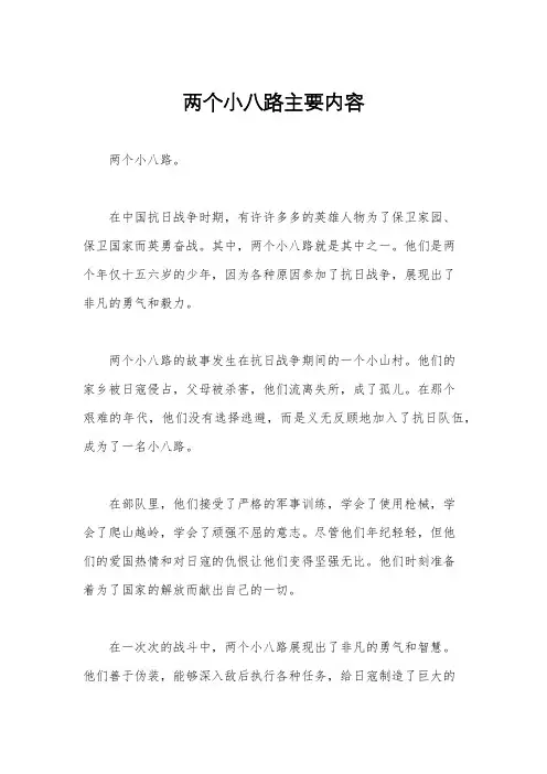两个小八路主要内容