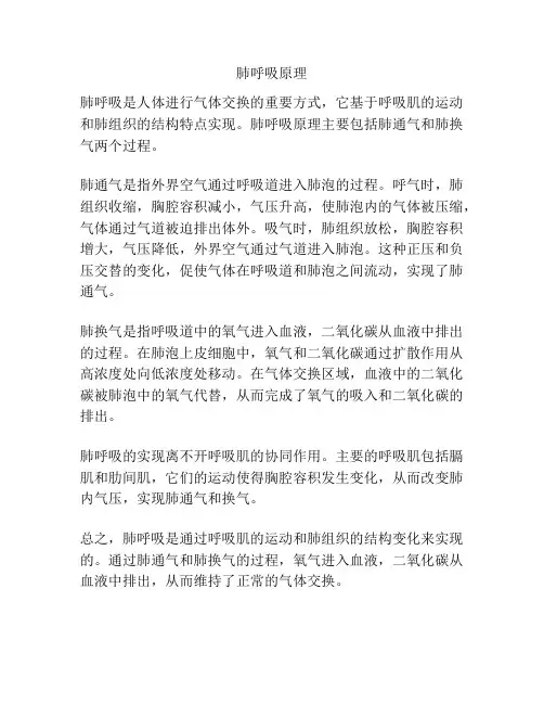 肺呼吸原理