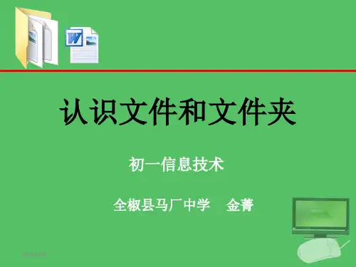 认识文件和文件夹.PPT课件