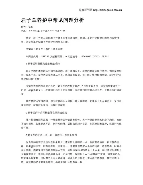 君子兰养护中常见问题分析