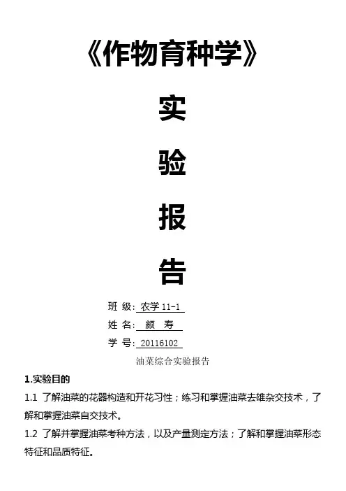 作物育种学——油菜自交与杂交综合实验报告