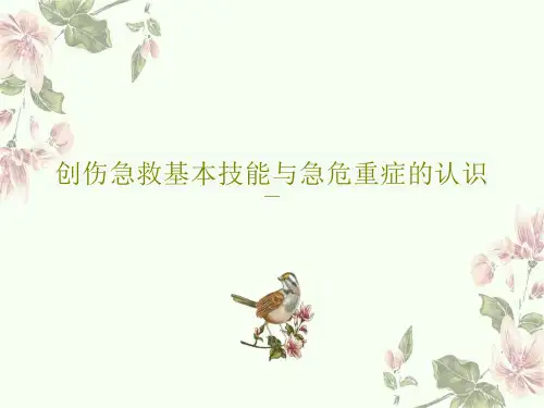 创伤急救基本技能与急危重症的认识 ppt课件