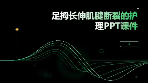 足拇长伸肌腱断裂的护理PPT课件