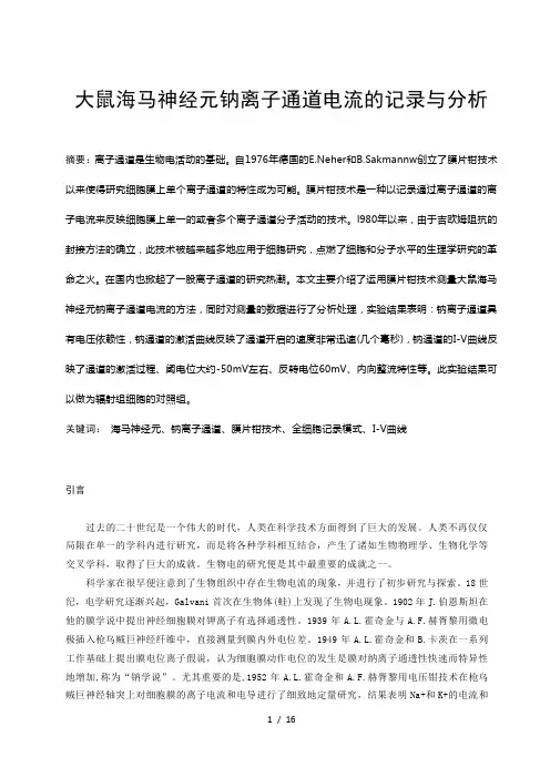 大鼠海马神经元钠离子通道电流的记录与分析