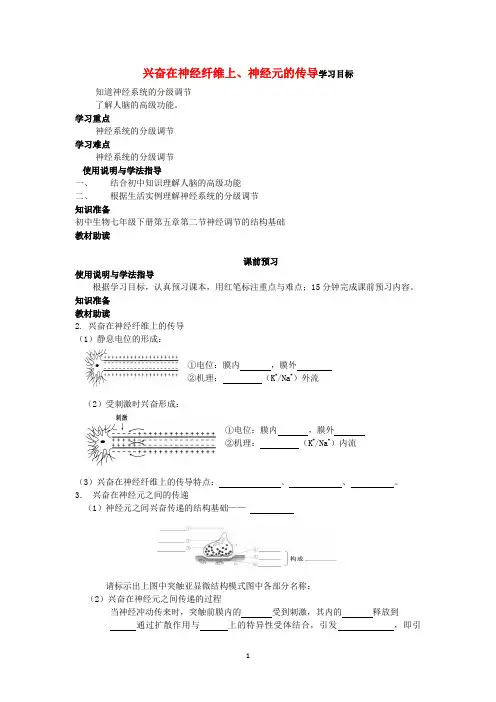 高二生物(新人教版必修3)学案：第2章第1节《兴奋在神经纤维上、神经元的传导》