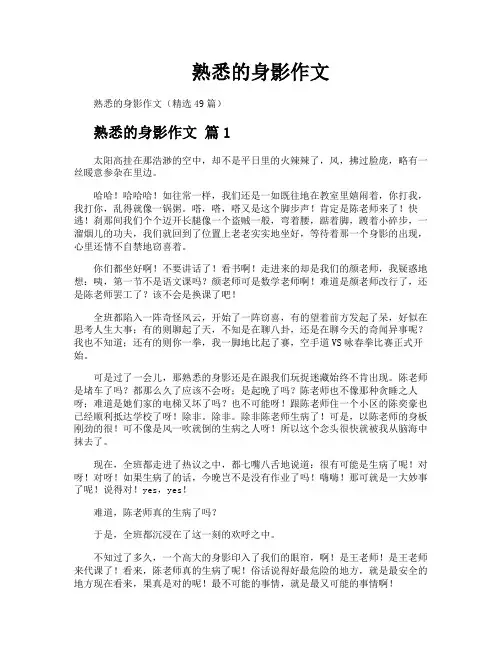 熟悉的身影作文
