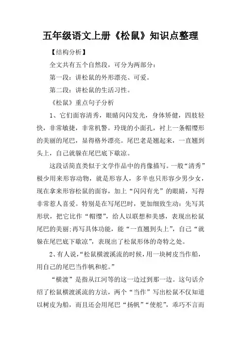 五年级语文上册《松鼠》知识点整理