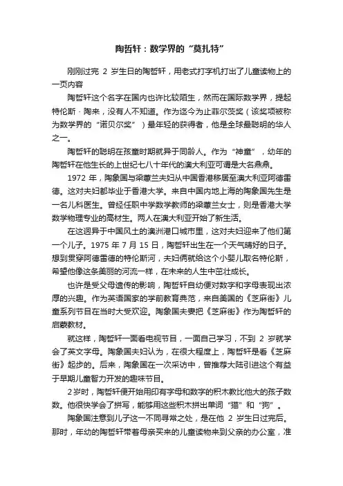 陶哲轩：数学界的“莫扎特”