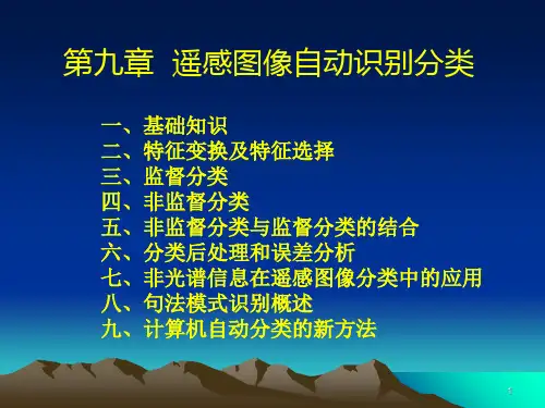 遥感图像自动识别分类