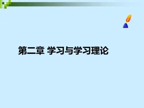 《学习与学习理论》PPT课件