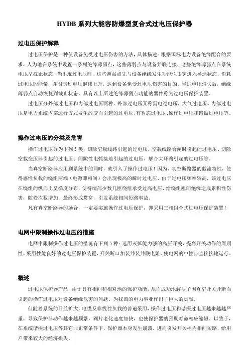 1【HYDB系列大能容防爆型复合式过电压保护器】