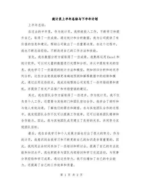 统计员上半年总结与下半年计划