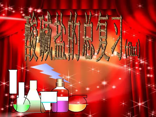 九年级化学《酸碱盐的总复习》课件