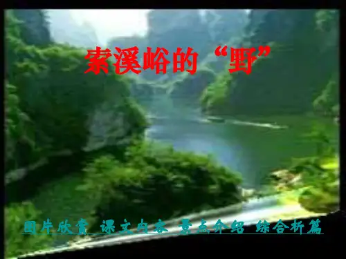 索溪峪的野