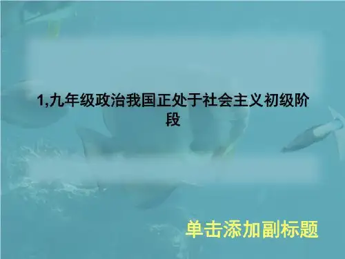 1,九年级政治我国正处于社会主义初级阶段