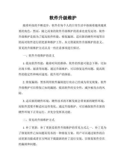 软件升级维护