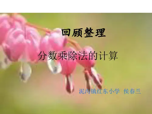 分数乘除法的计算PPT课件
