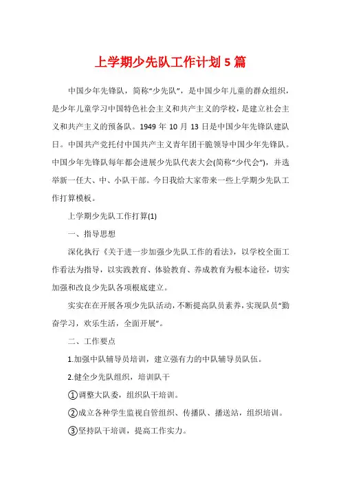 上学期少先队工作计划5篇