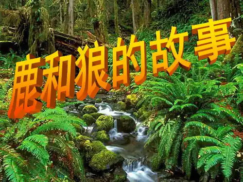 14鹿和狼的故事PPT优秀课件