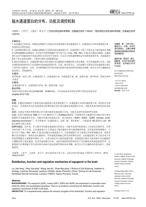 脑水通道蛋白的分布、功能及调控机制