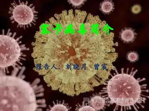 LZ寨卡病毒简介