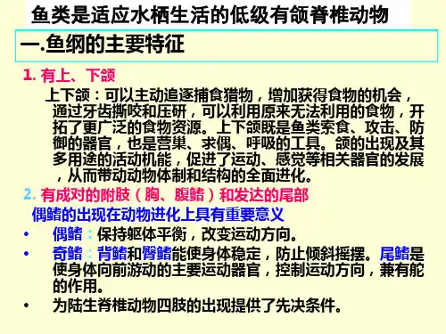 普通动物学鱼纲