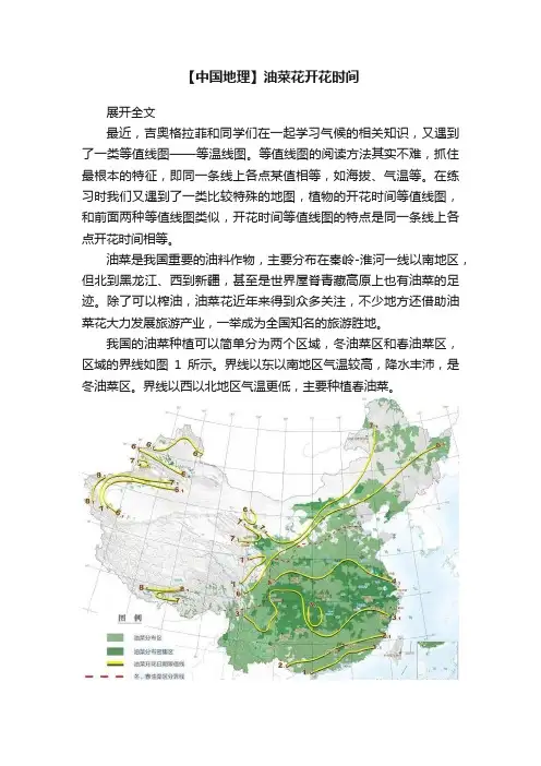 【中国地理】油菜花开花时间