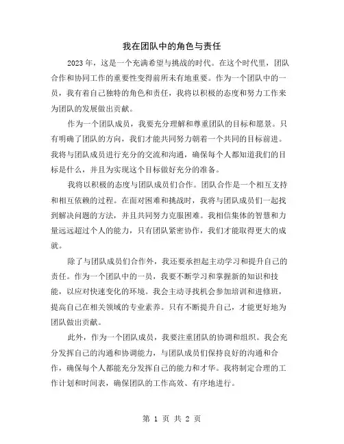 我在团队中的角色与责任