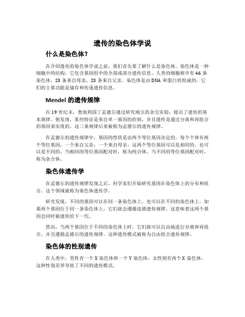 遗传的染色体学说-浙科版必修2遗传与进化教案