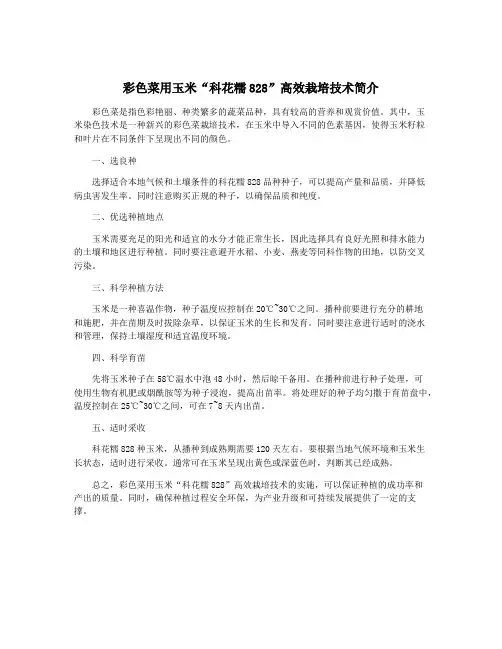 彩色菜用玉米“科花糯828”高效栽培技术简介