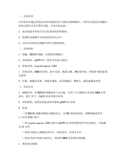 转染细胞实验报告