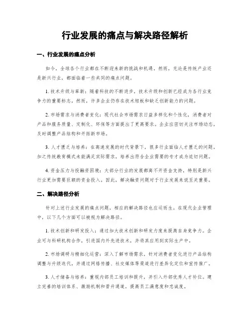 行业发展的痛点与解决路径解析