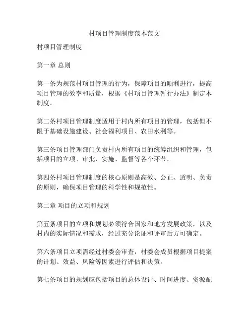 村项目管理制度范本范文