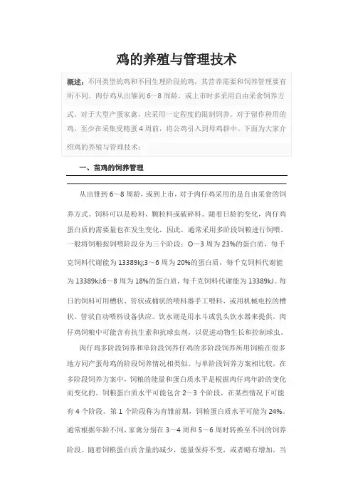 鸡的养殖与管理技术