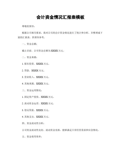 会计资金情况汇报表模板