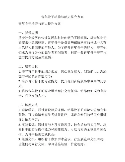 青年骨干培养与能力提升方案