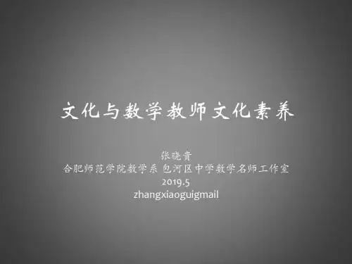 文化与数学教师文化素养-PPT精选文档