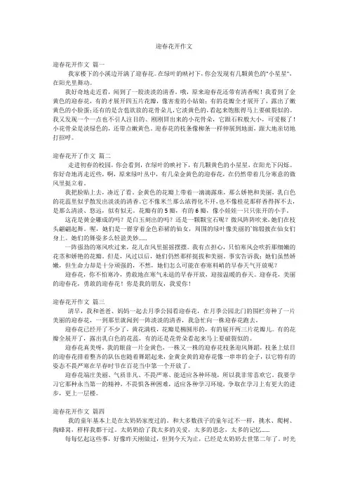 迎春花开作文