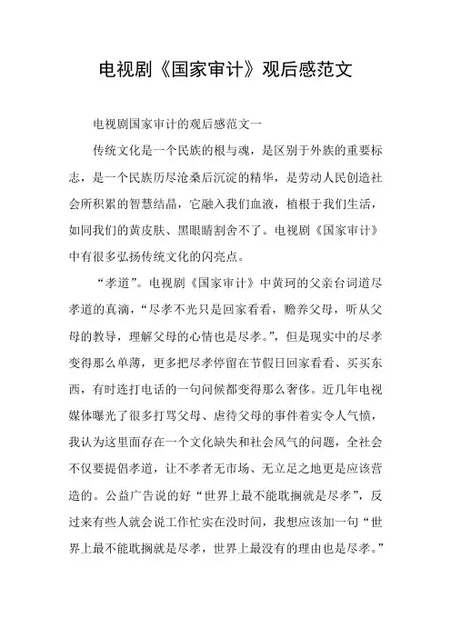 电视剧《国家审计》观后感范文